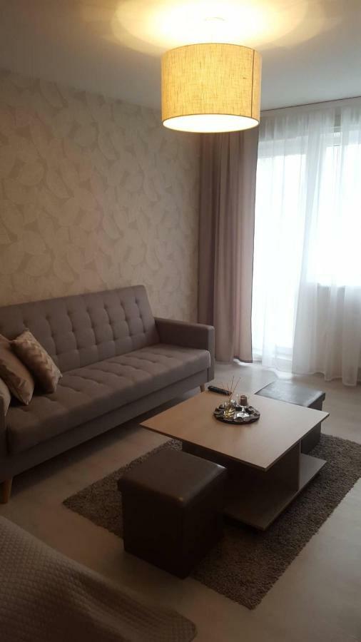 Lieporiu Apartamentai シャウレイ エクステリア 写真