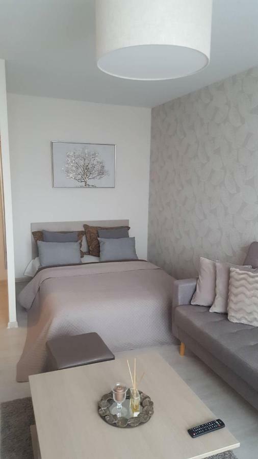 Lieporiu Apartamentai シャウレイ エクステリア 写真